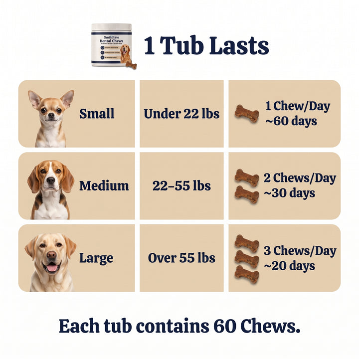 Daily dental chews for fresher breath and cleaner teeth