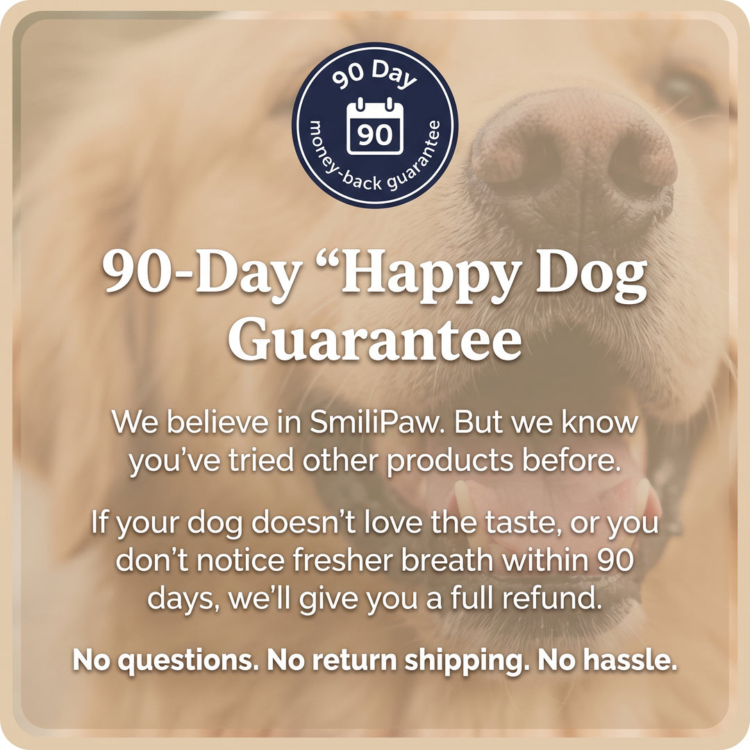 Daily dental chews for fresher breath and cleaner teeth