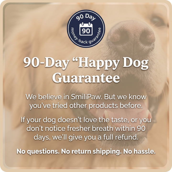 Daily dental chews for fresher breath and cleaner teeth