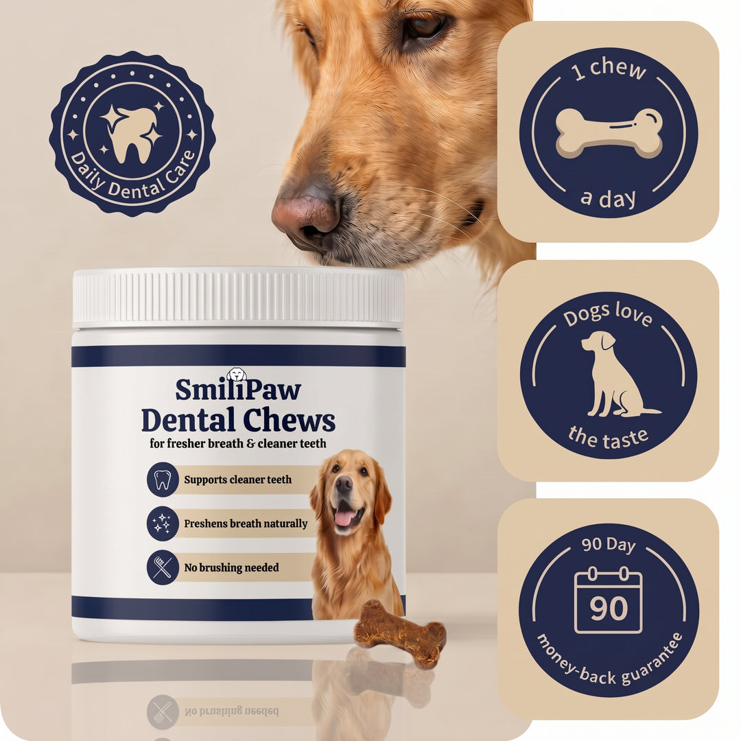 Daily dental chews for fresher breath and cleaner teeth