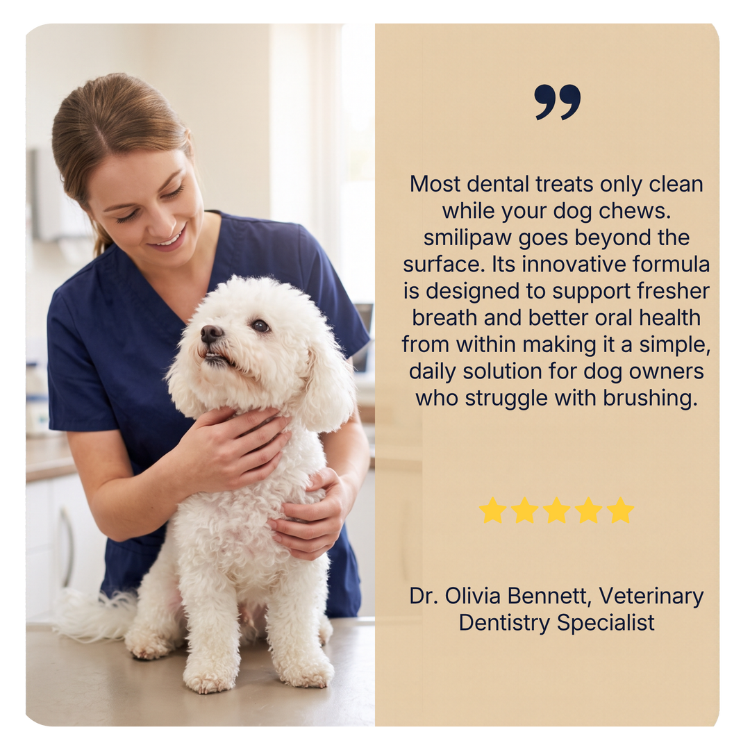 Daily dental chews for fresher breath and cleaner teeth