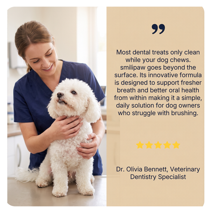 Daily dental chews for fresher breath and cleaner teeth